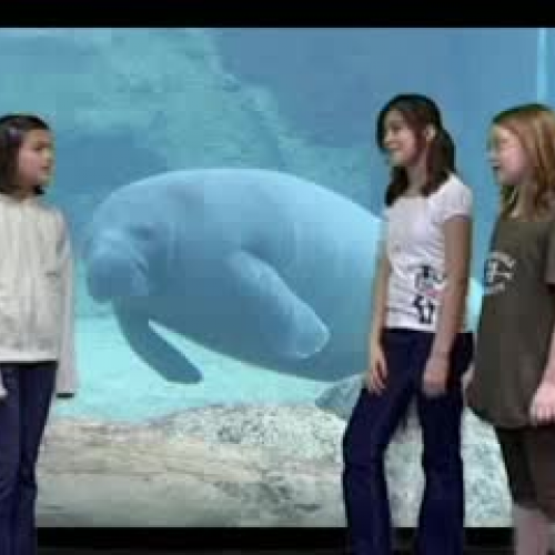 Save the Manatees