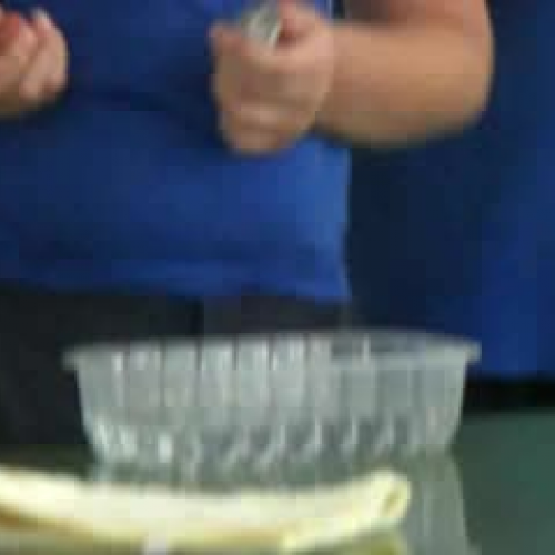 Floating and Sinking objects