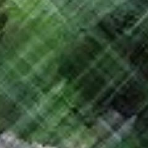 Million Dollar House