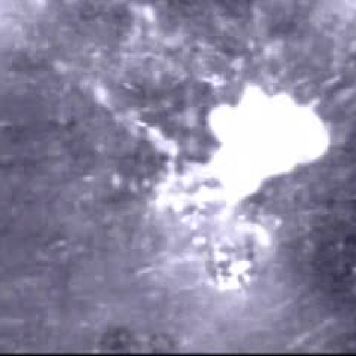 EDIT 202 Sample Video