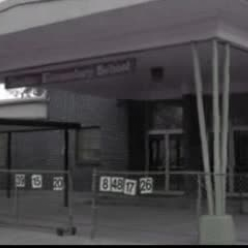 Flowers For The Living