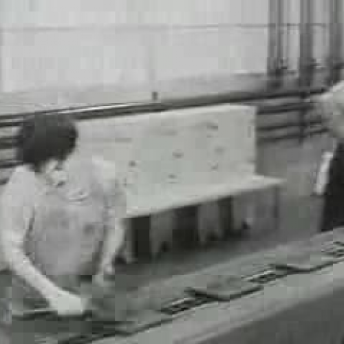 Dedication towards work