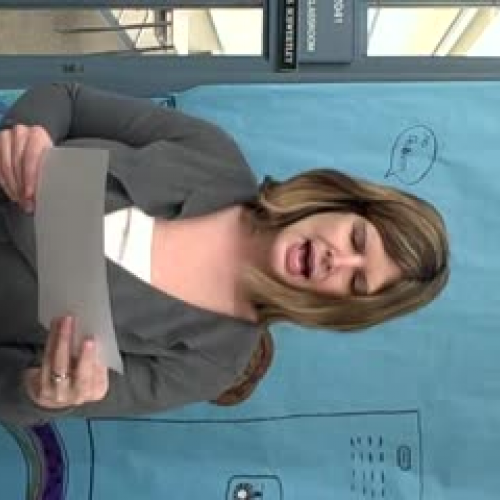 Critical Thinking Project