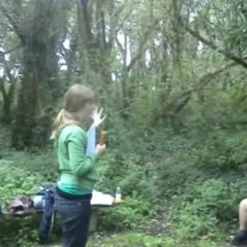 Sounds and the Environment