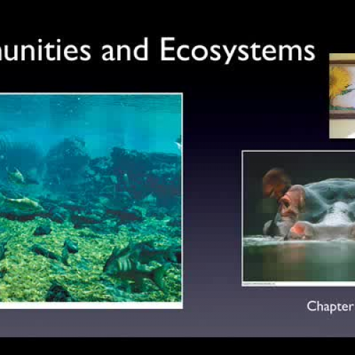 Communities &amp; Ecosystems
