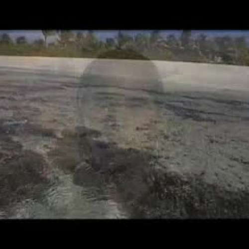 TOGETHER WE ARE STRONG PART ONE