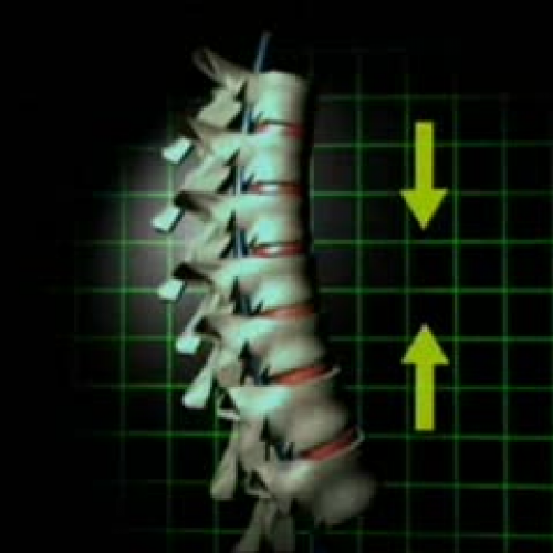 EDIT 202 Sample Video