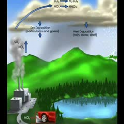 causes and effects of acid rain