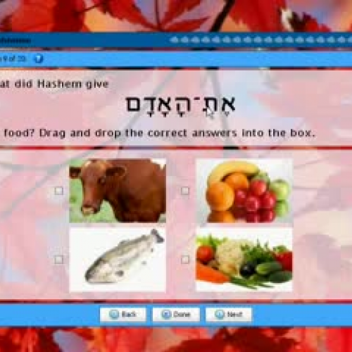 Digital Bible Workbooks