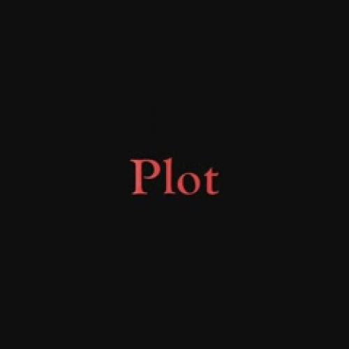 Plot