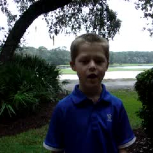 William's Bat Report