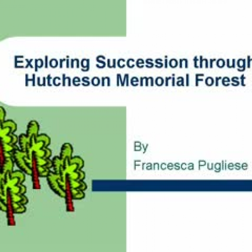 Hutchenson Forest Succession