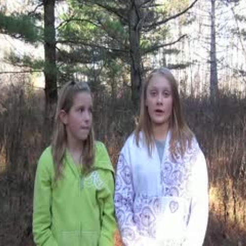 Wait Till Helen Comes