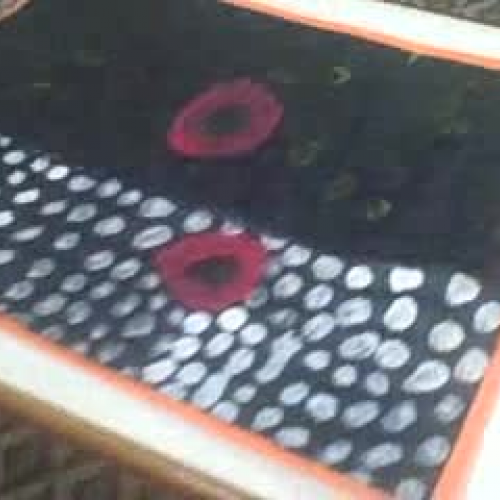 Nicole discusses her Art &amp; Culture projec