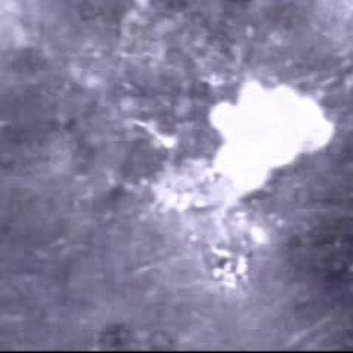 For the love of popcorn