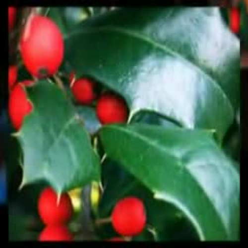 We Need a Little Christmas