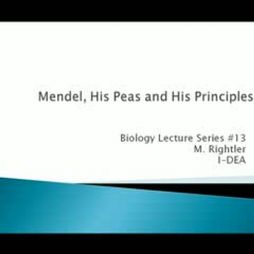 Mendel His Peas and His Principles