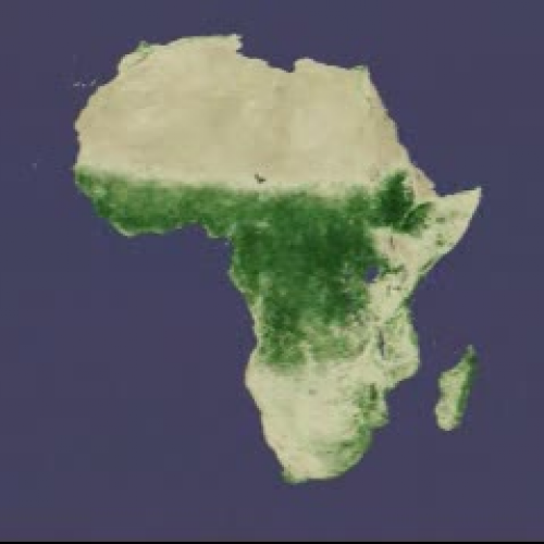 Africa NDVI