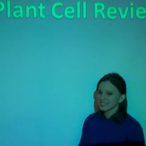 Plant cell part 4