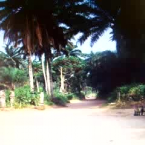 Nigerian Culture - Part 5