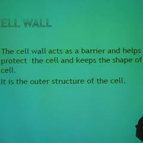 Plant Cell Part 2