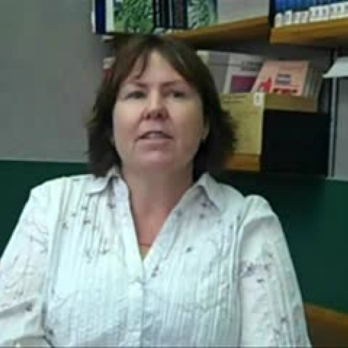 Teacher Voice- Maths Reflection