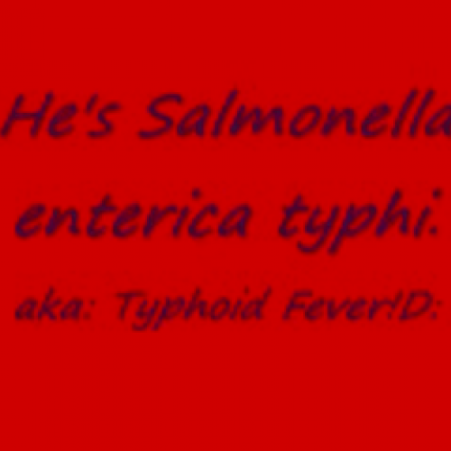 Salmonella enterica typhi