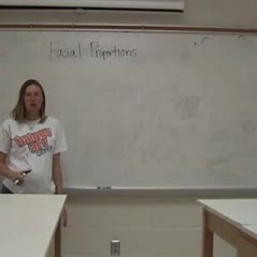 Facial Proportions