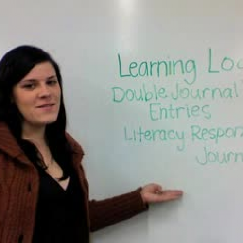 SDAIE Strategy Learning Logs