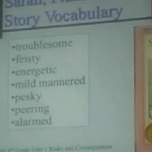Sarah, Plain and Tall (Vocab)