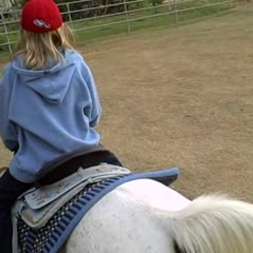 Quinn's talent show entry