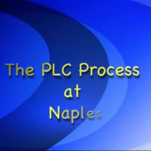 Naples PLC Process