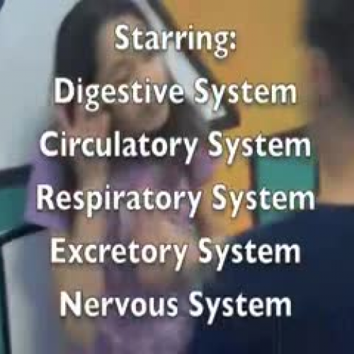 Organ Systems 9