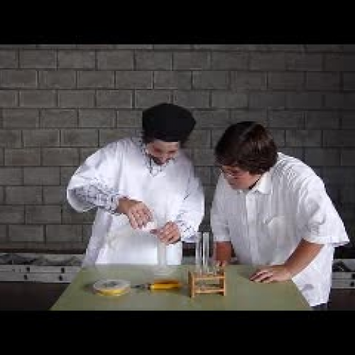 Colegio Norbridge 2009