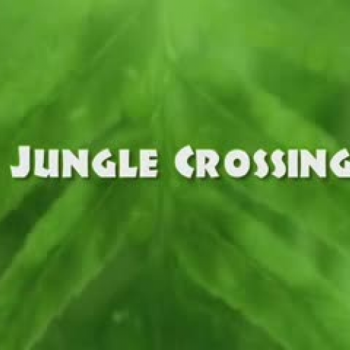 Jungle Crossing Book Trailer