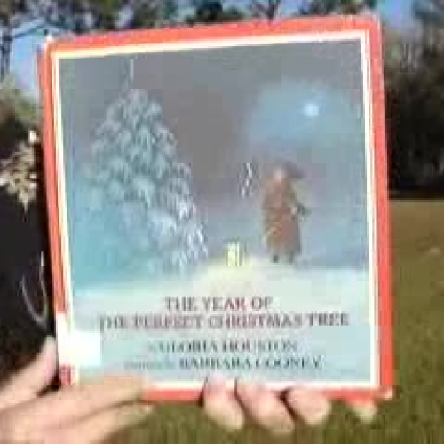 The Year of the Perfect Christmas Tree-Mr. De