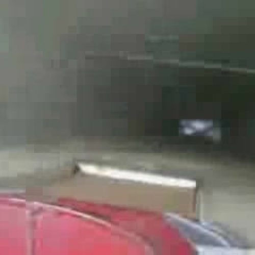 Carpet Cleaning, Carpet Cleaner Services At S