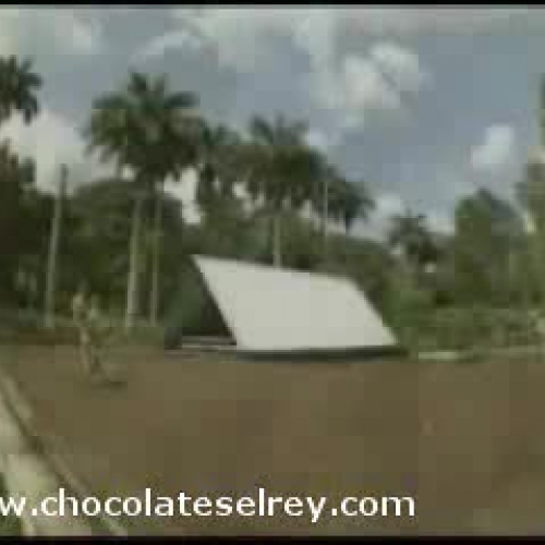 How Is Chocolate Made