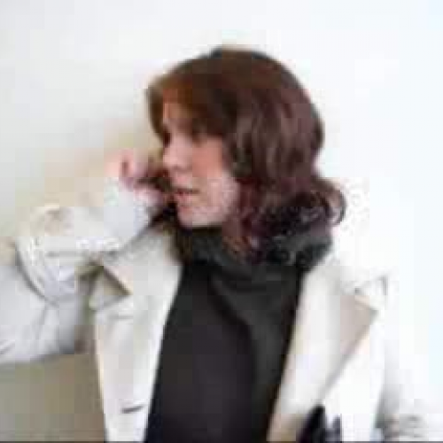 Insurance Investigation