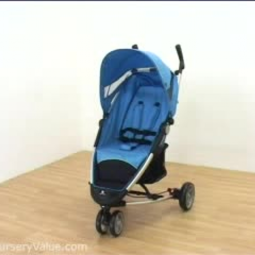 Petite Star Zia – Nurseryvalue.com