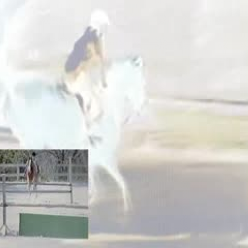 School Video Daulerio