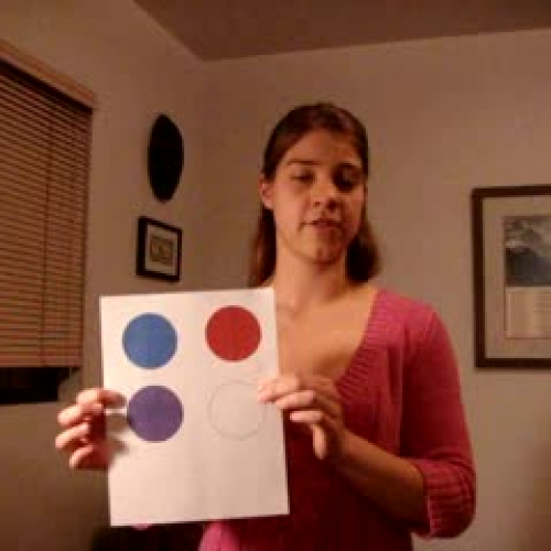 Fraction Circles- SDAIE Strategy