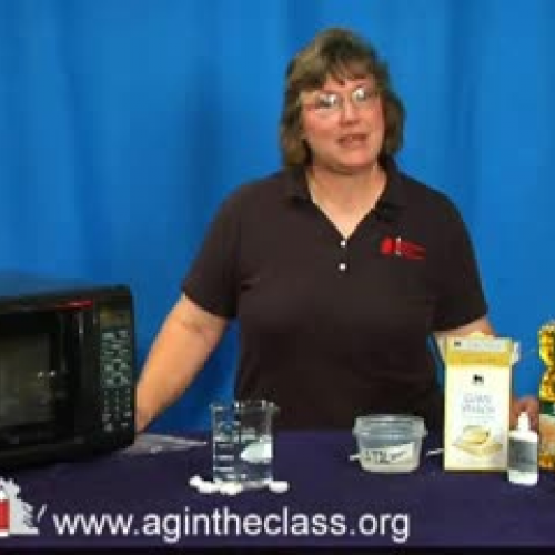 Making Biodegradable Plastic