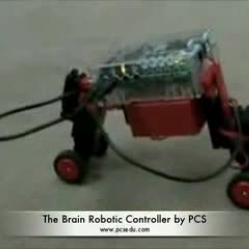 The Brain by pcsedu.com