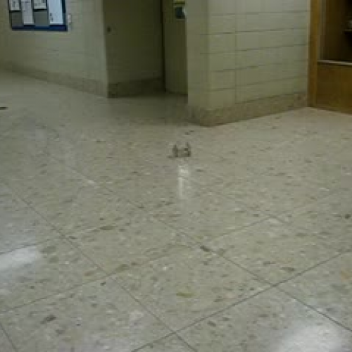 Rubber band powered car