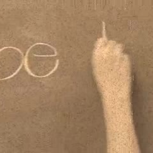 21st Century Learners