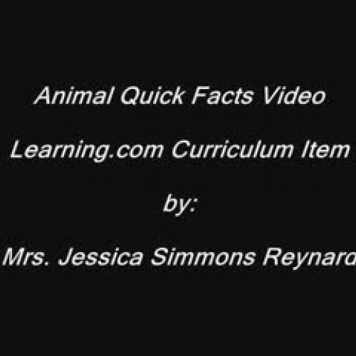 Animal Quickfacts Video