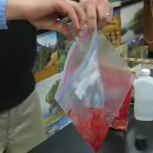 Strawberry DNA Extractions