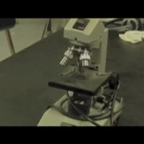 Microscope Tutorial