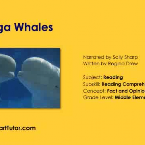 Beluga Whales , Fact and Opinion , Third Grad